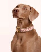 PURE no.05 - Hundehalsband mit Mosaik