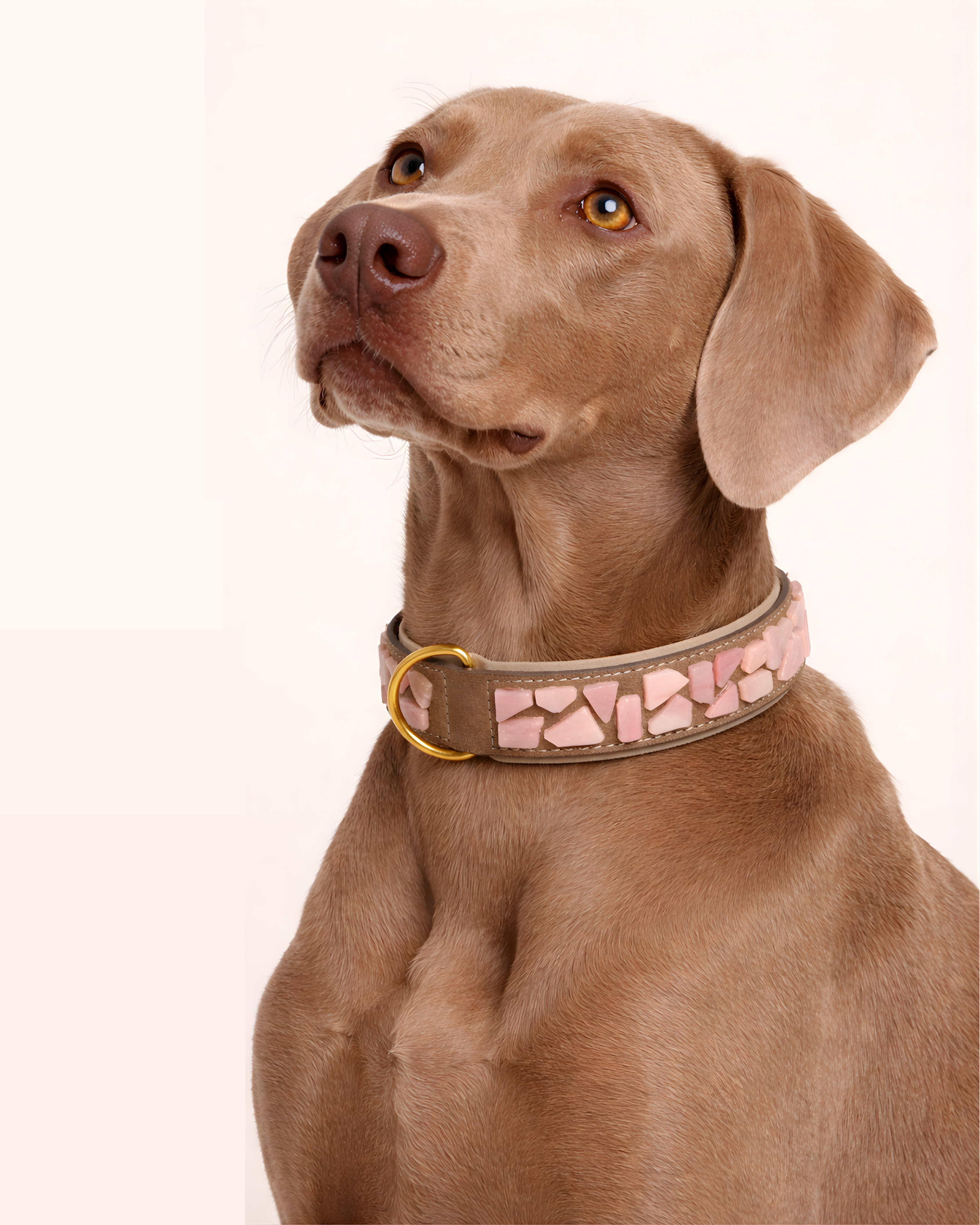 PURE no.05 - Hundehalsband mit Mosaik