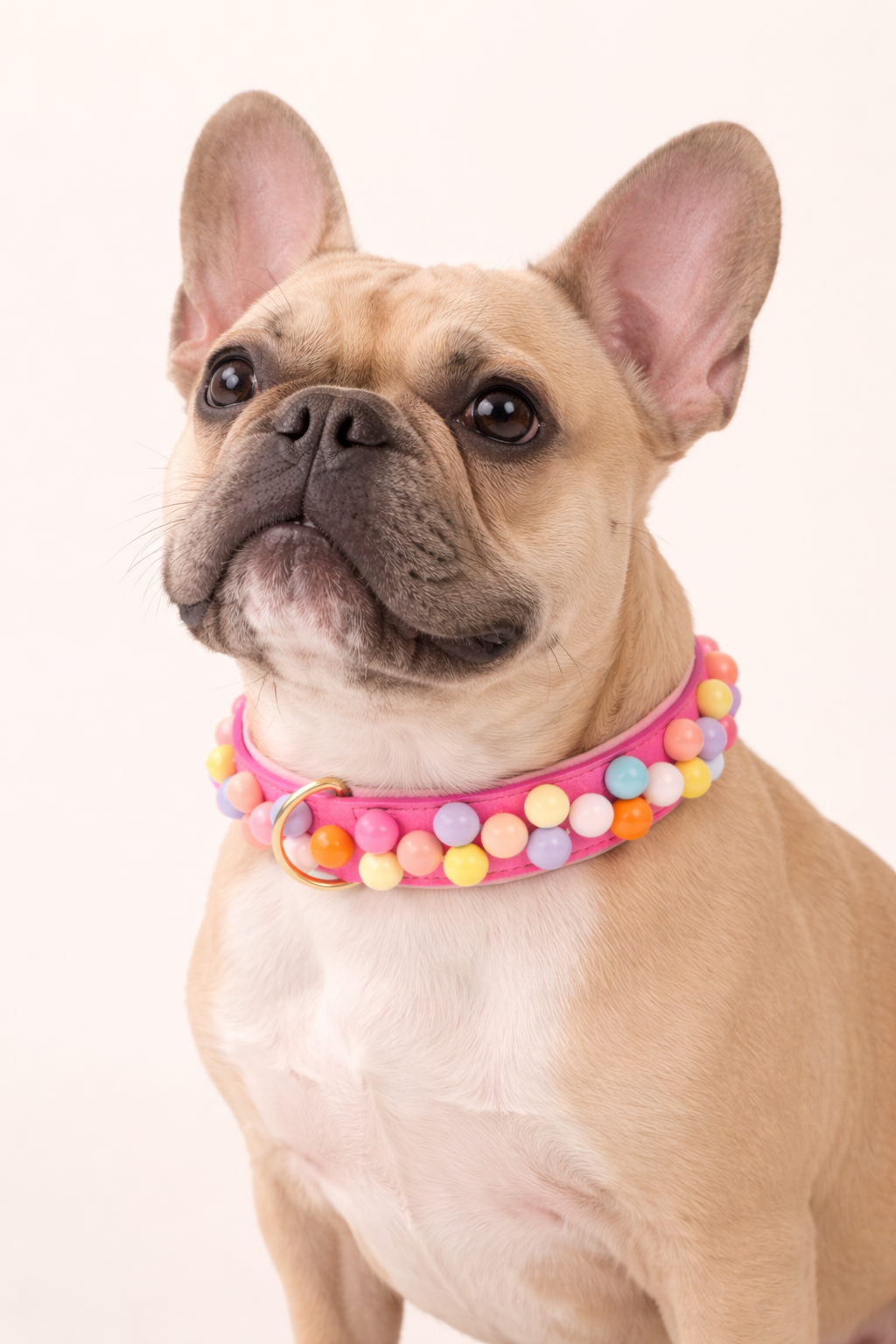SIGNATURE no.02 - Hundehalsband mit Bonbon-Details