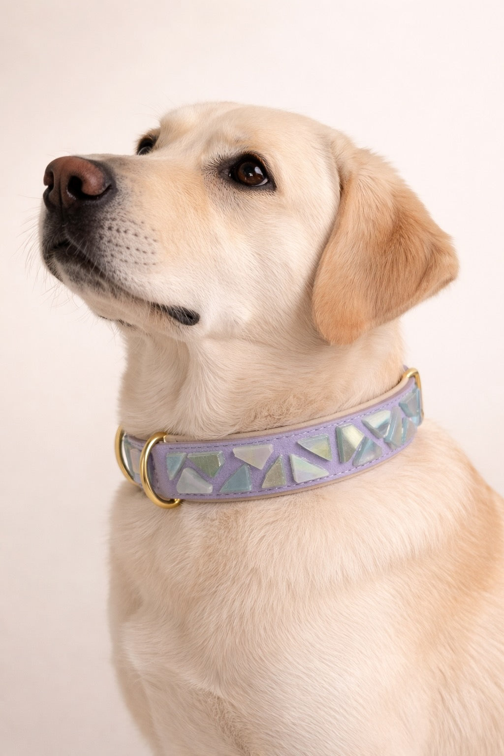 Set PURE No.03 (Halsband & Leine)