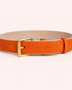 Set SOFT no.02 (Halsband & Leine)