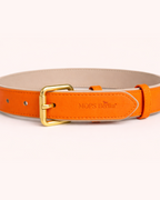 PURE no.02 - Hundehalsband mit Mosaik