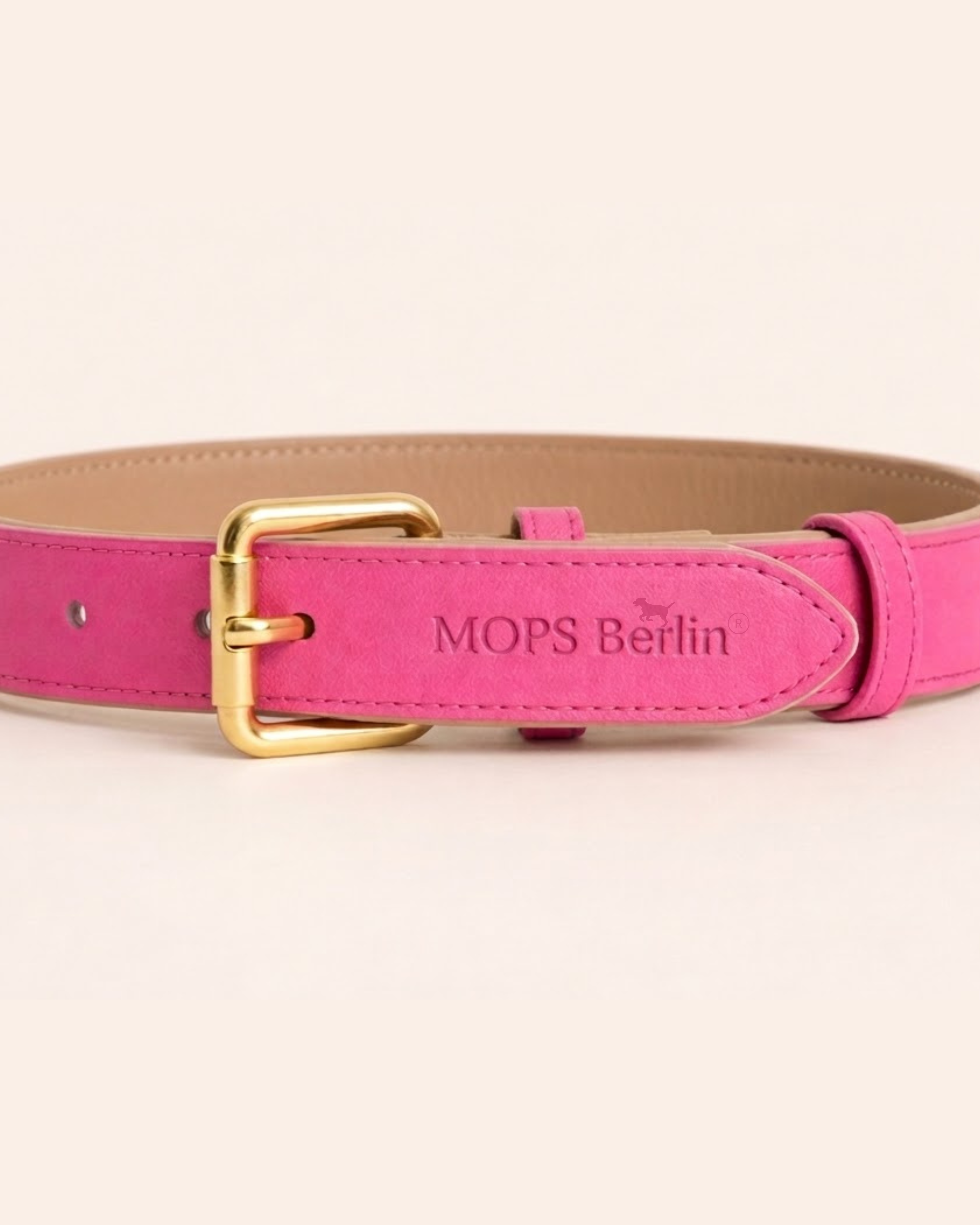 SIGNATURE no.02 - Hundehalsband mit Bonbon-Details