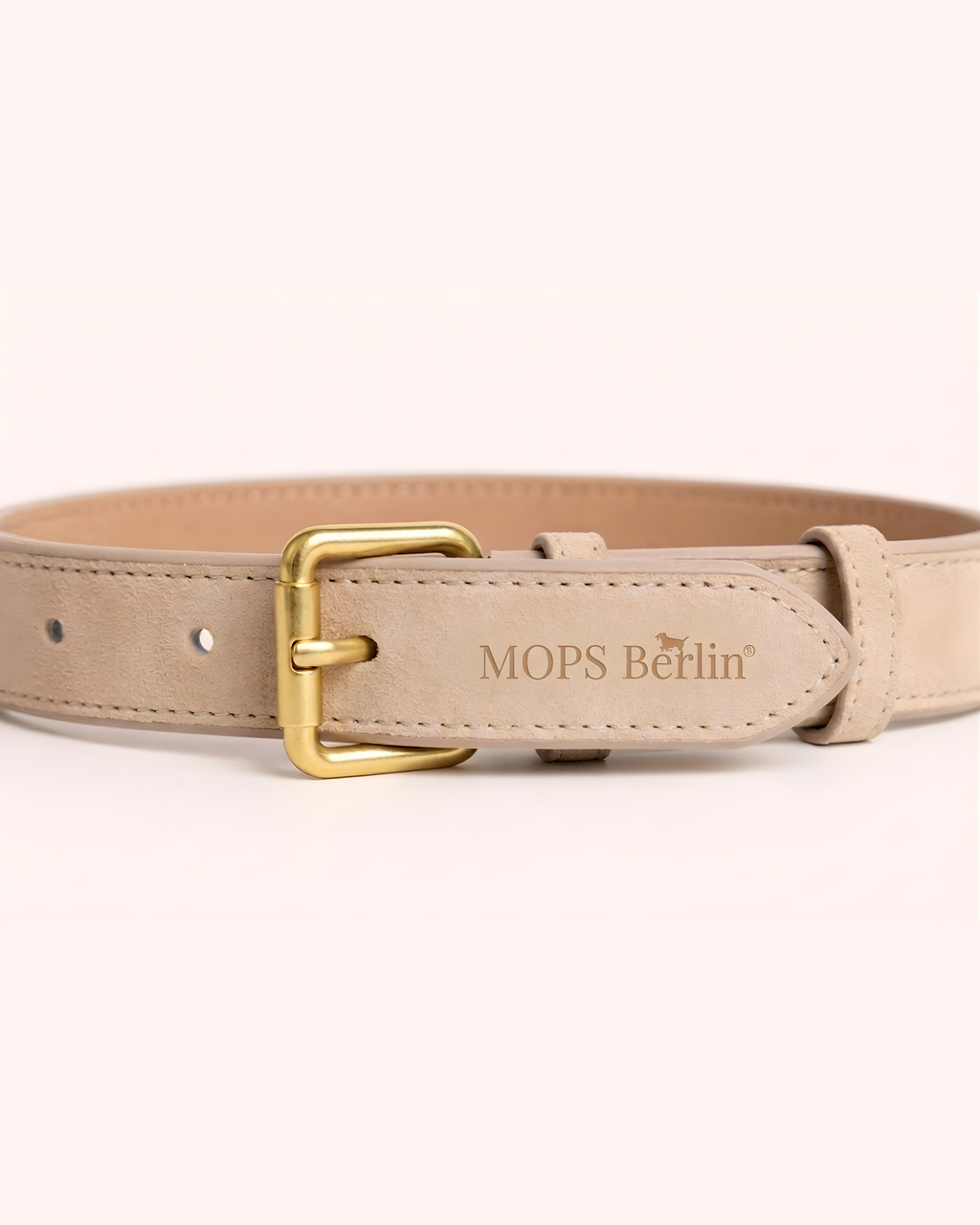 URBAN no.01 - Hundehalsband mit Schildkröten