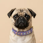 SIGNATURE no.04 - Hundehalsband mit Donuts