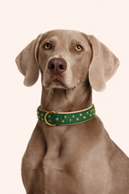 URBAN no.04 - Hundehalsband mit Blüten