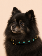 URBAN no.05 - Hundehalsband mit hellblauen Kristallen