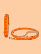 Set SOFT no.02 (Halsband & Leine)