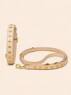 Set URBAN no.01 (Halsband & Leine)
