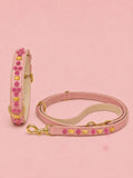 Set SIGNATURE no.01 (Halsband & Leine)