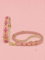 Set SIGNATURE no.01 (Halsband & Leine)