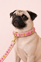 Set SIGNATURE no.01 (Halsband & Leine)