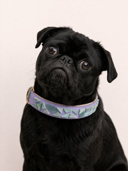 PURE no.03 - Hundehalsband mit Mosaik