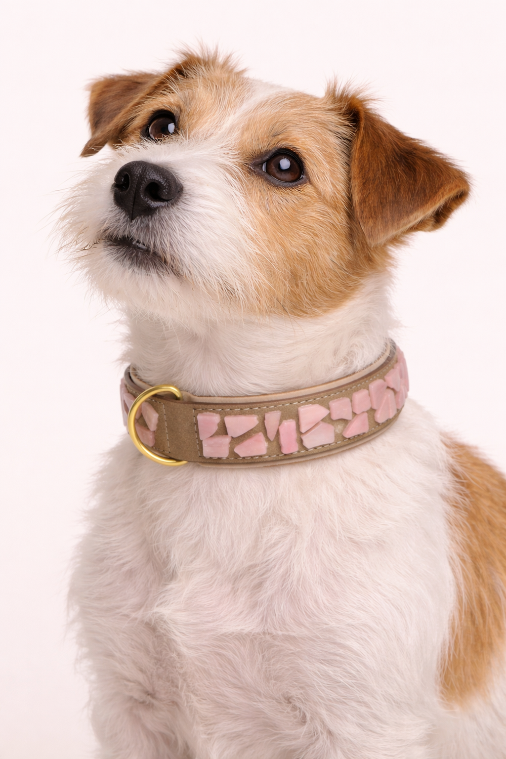 PURE no.05 - Hundehalsband mit Mosaik