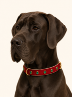 URBAN no.02 - Hundehalsband mit dunkelgrünen Kristallen