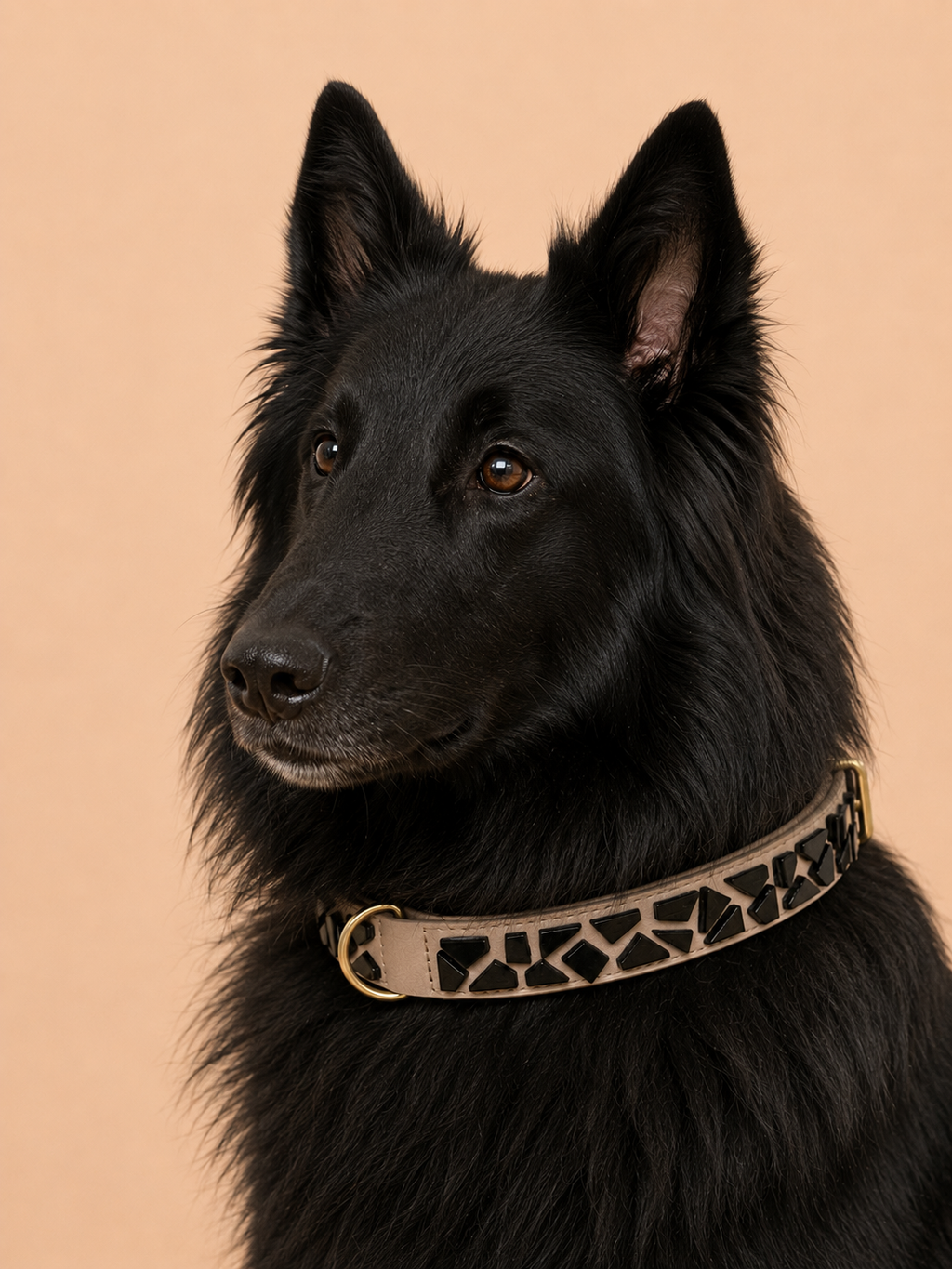 PURE no.01 - Hundehalsband mit Mosaik