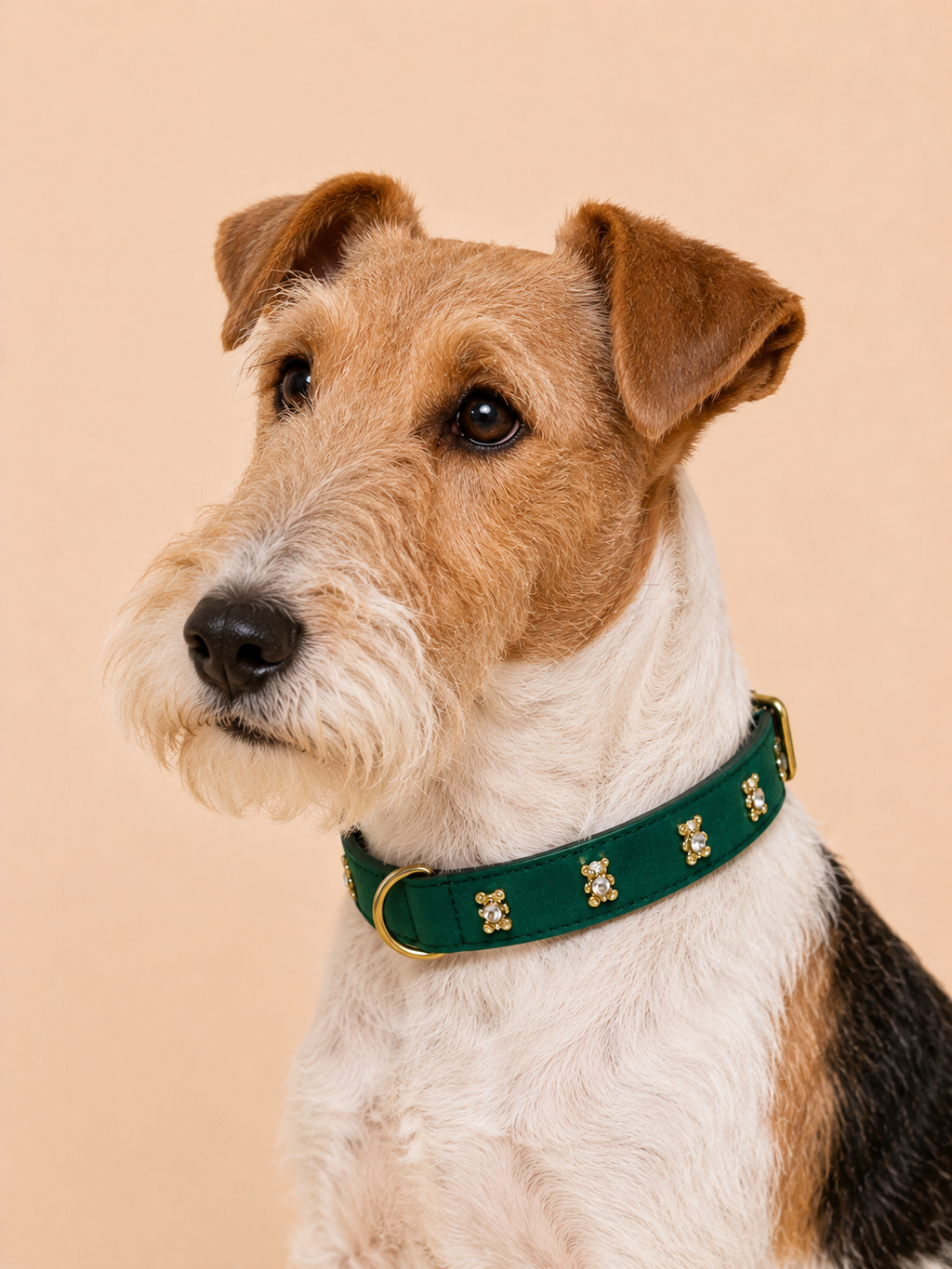 SIGNATURE no.05 - Hundehalsband mit Bärchen