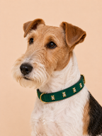 SIGNATURE no.05 - Hundehalsband mit Bärchen