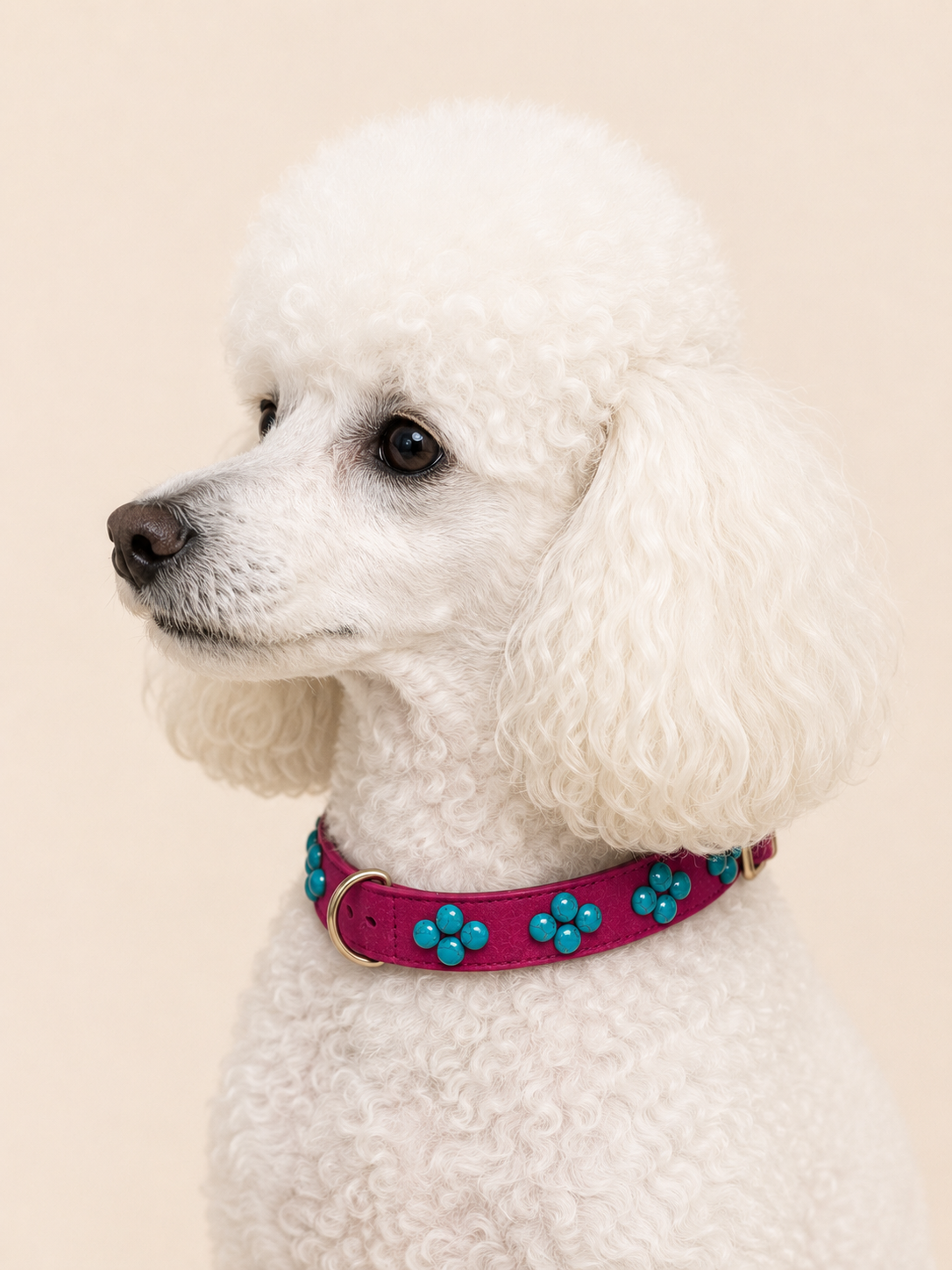 Set SOFT no.03 (Halsband & Leine)