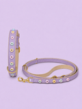 Set SIGNATURE no.04 (Halsband & Leine)