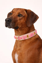 SIGNATURE no.01 - Hundehalsband mit Blumen