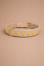 URBAN no.01 - Hundehalsband mit Schildkröten