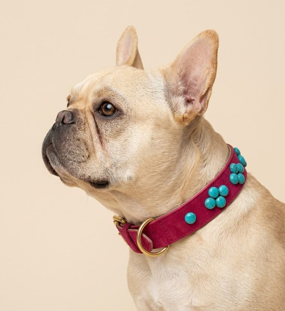 SOFT no.03 - Hundehalsband mit blauen Schmucksteinen