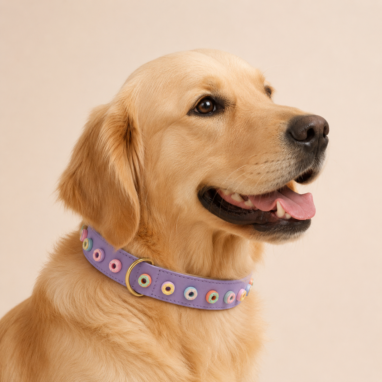 SIGNATURE no.04 - Hundehalsband mit Donuts