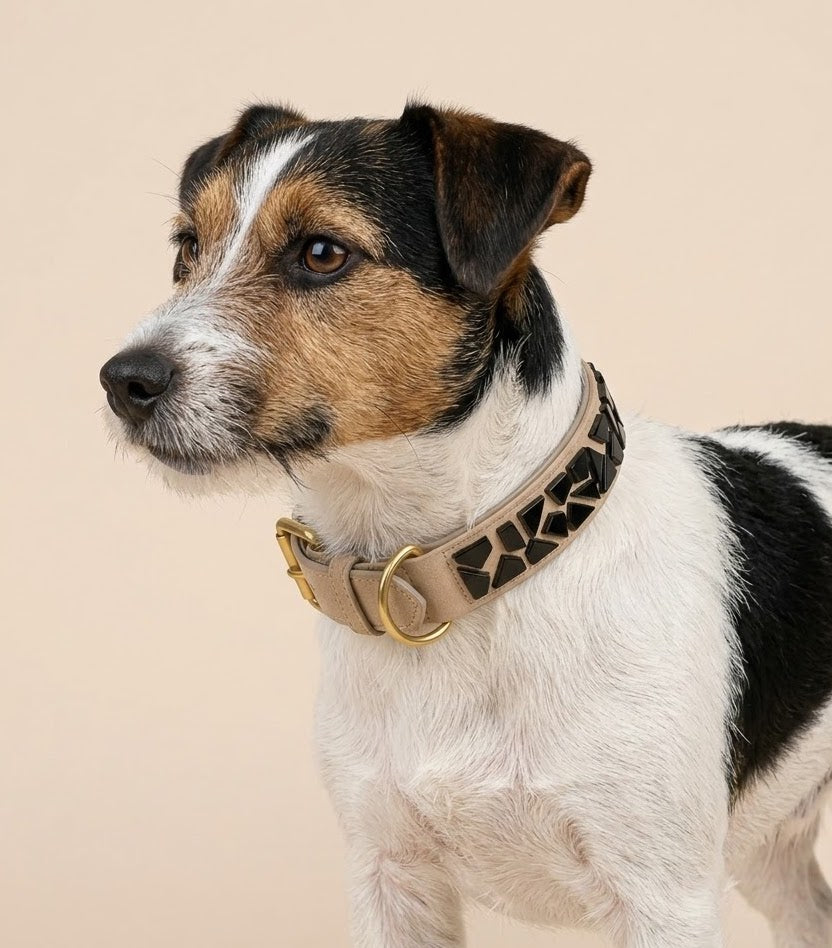 PURE no.01 - Hundehalsband mit Mosaik
