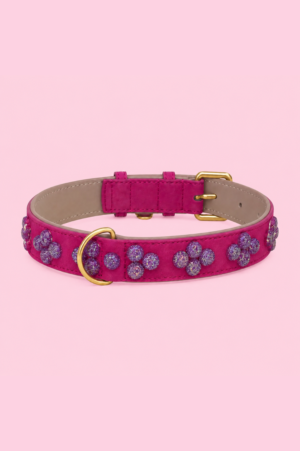 SIGNATURE no.03 - Hundehalsband mit Glanz