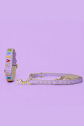 Set IDENTITY (Halsband & Leine)