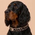 PURE no.01 - Hundehalsband mit Mosaik