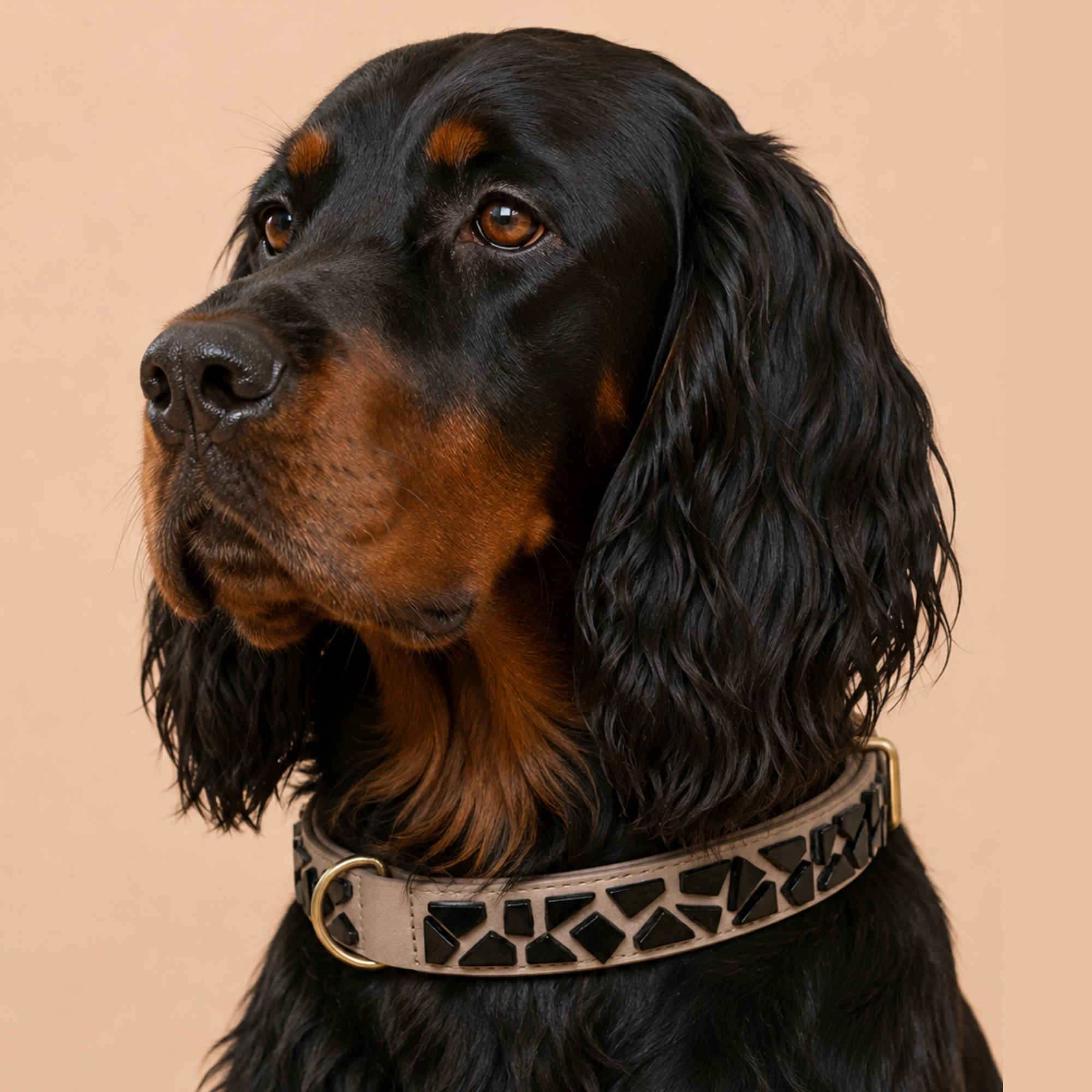 PURE no.01 - Hundehalsband mit Mosaik