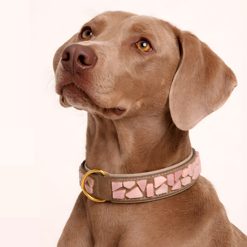 PURE no.05 - Hundehalsband mit Mosaik