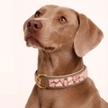 PURE no.05 - Hundehalsband mit Mosaik