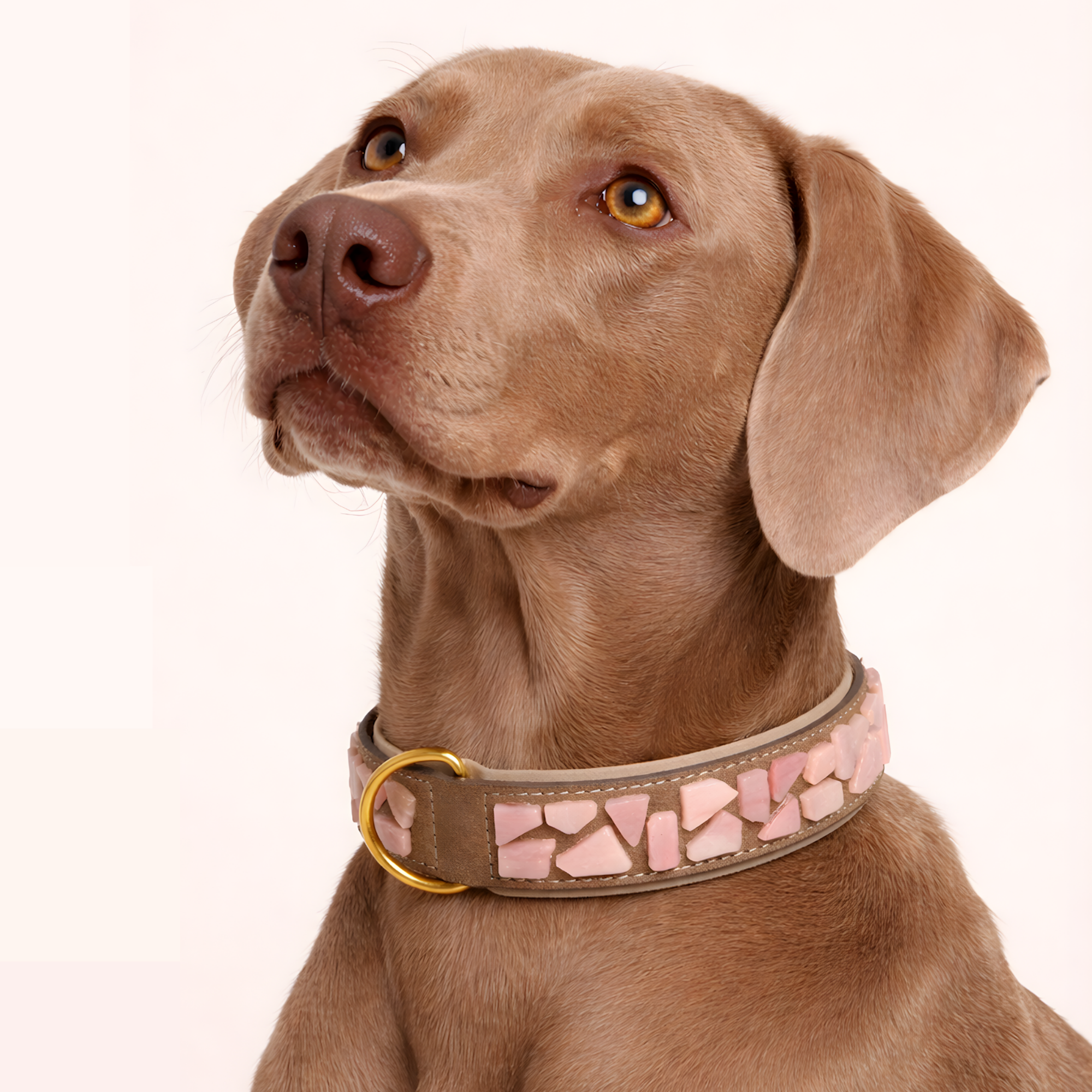PURE no.05 - Hundehalsband mit Mosaik