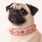 SIGNATURE no.01 - Hundehalsband mit Blumen