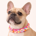 SIGNATURE no.02 - Hundehalsband mit Bonbon-Details