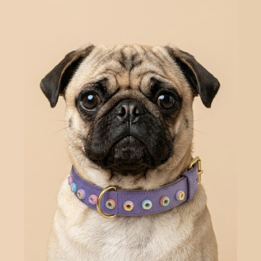 SIGNATURE no.04 - Hundehalsband mit Donuts