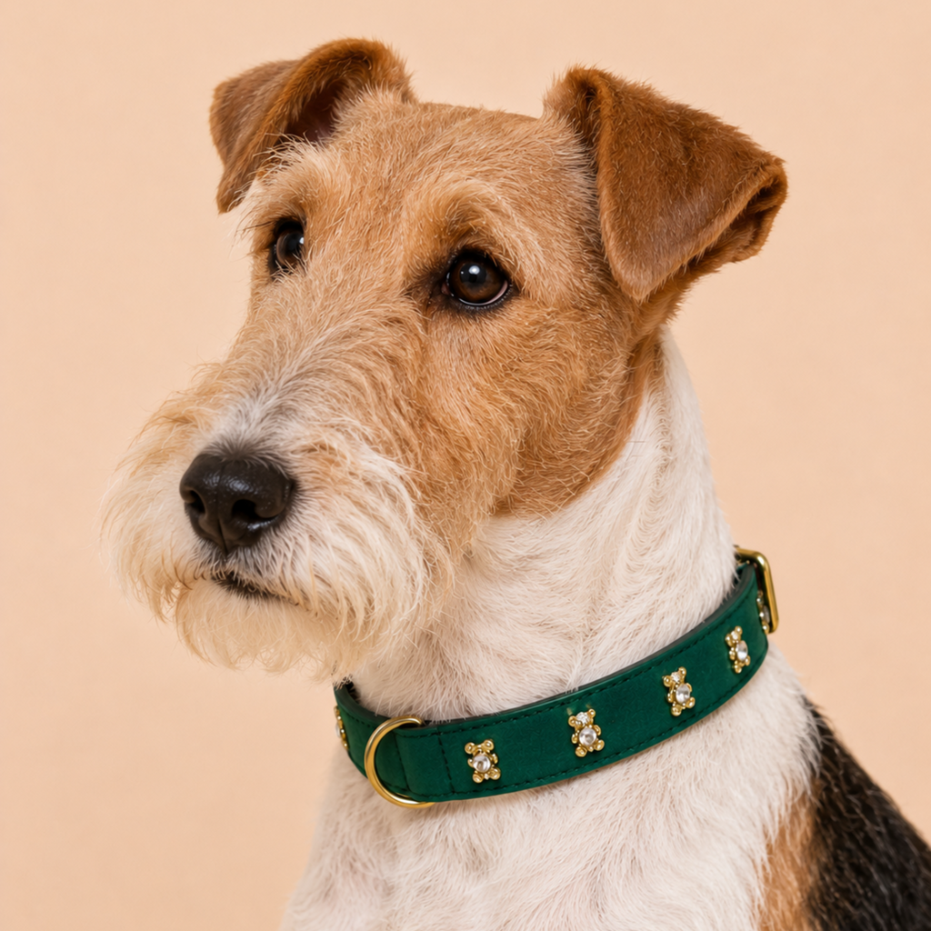SIGNATURE no.05 - Hundehalsband mit Bärchen