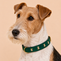 SIGNATURE no.05 - Hundehalsband mit Bärchen