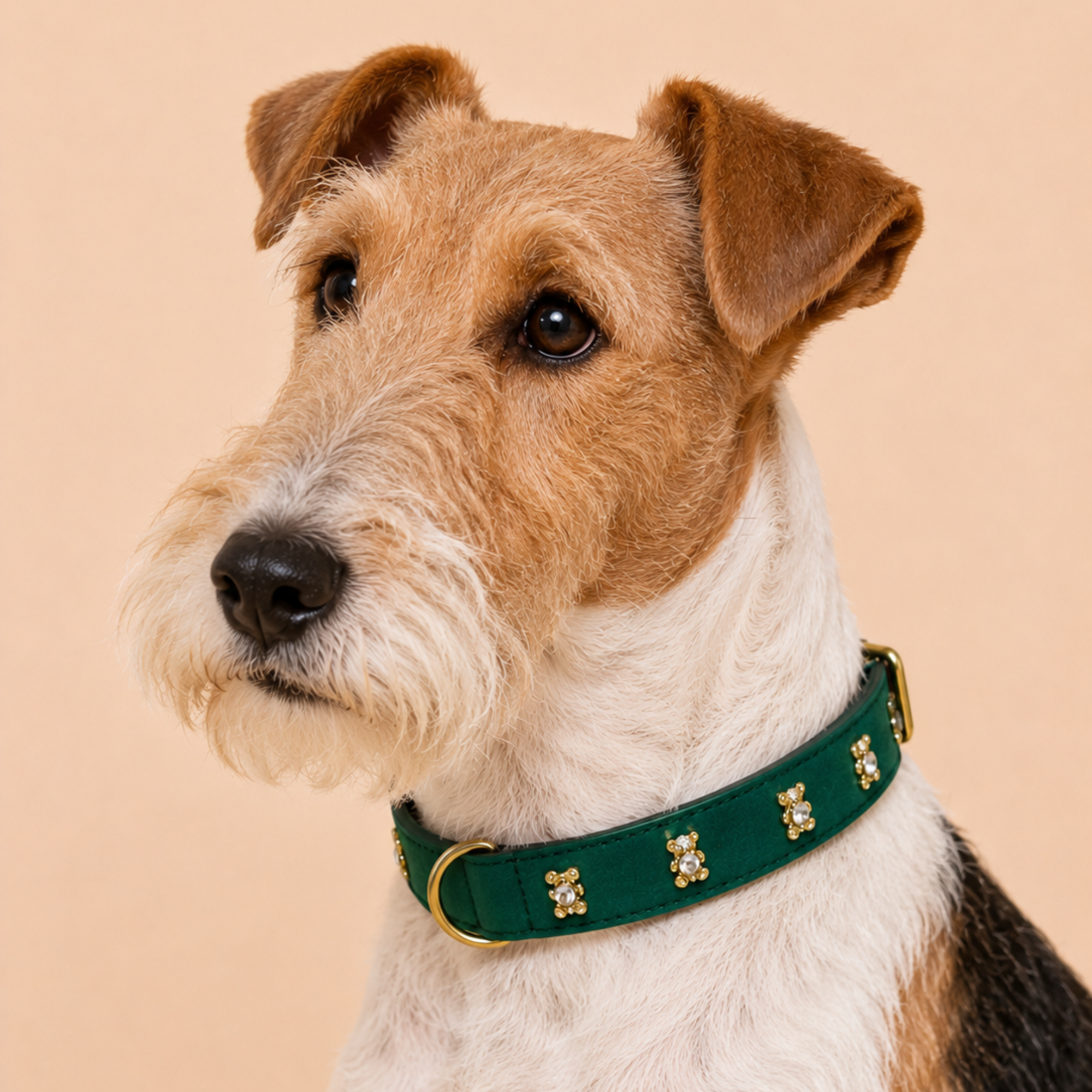 SIGNATURE no.05 - Hundehalsband mit Bärchen