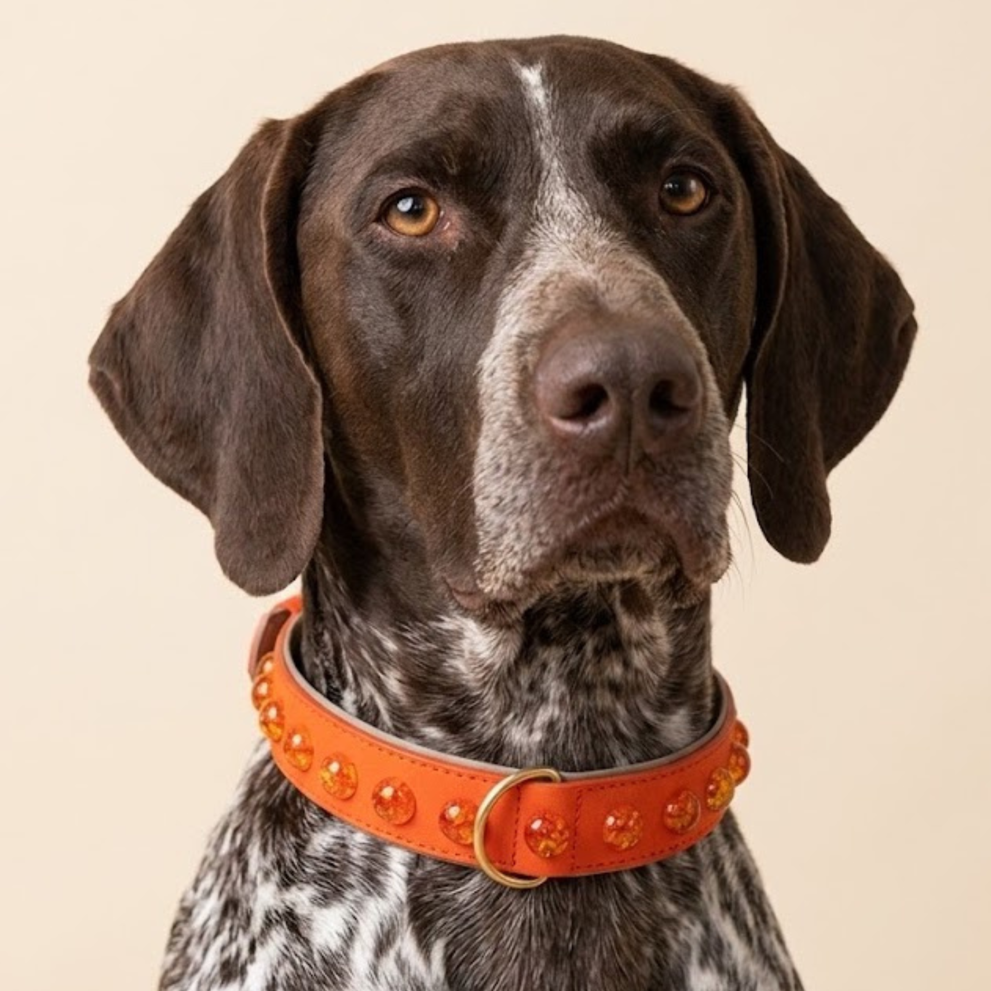 SOFT no.02 - Hundehalsband mit Bernsteinharz