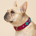 SOFT no.03 - Hundehalsband mit blauen Schmucksteinen
