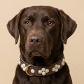 SOFT no.04 - Hundehalsband mit marmorierten Schmucksteinen