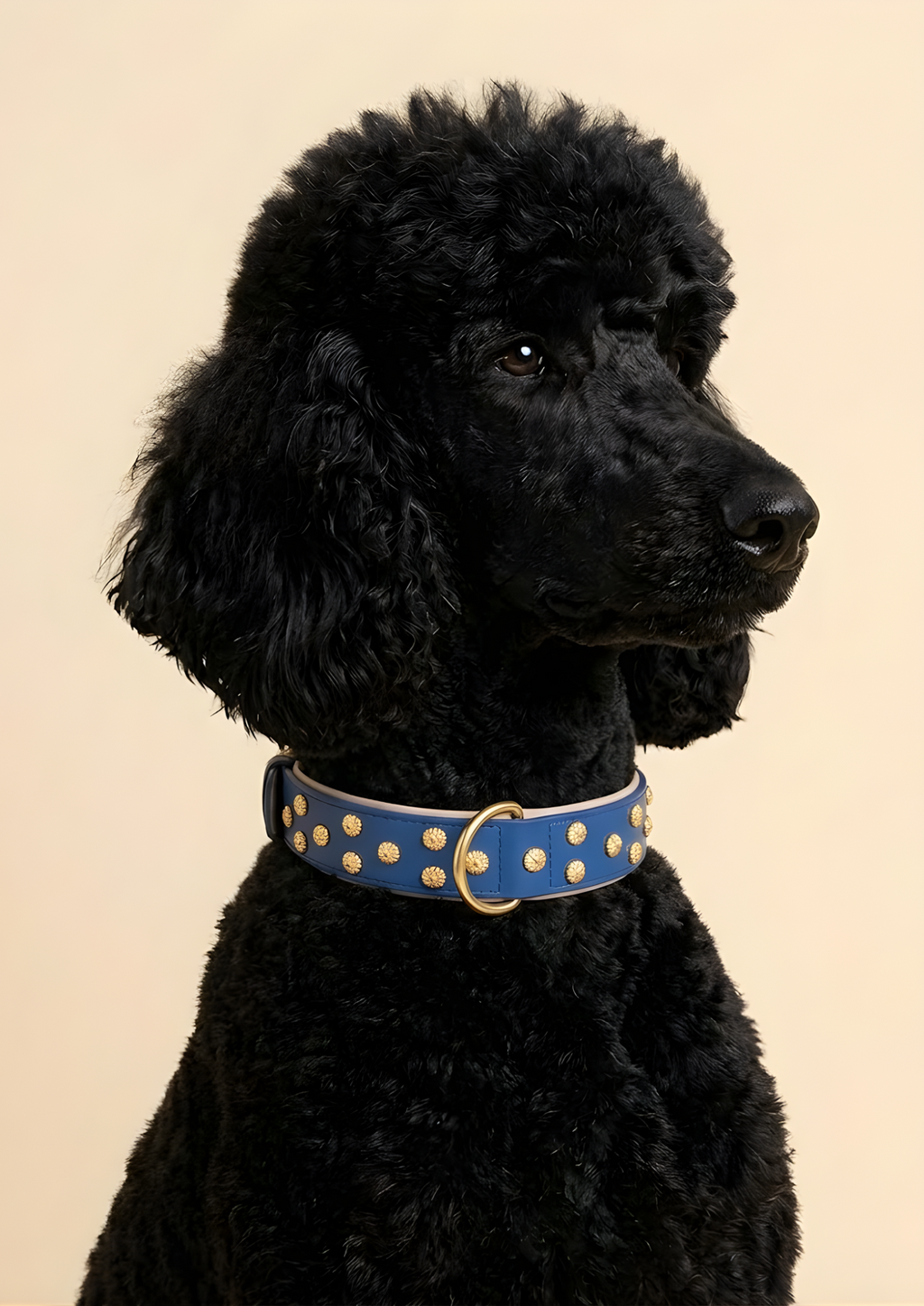 URBAN no.03 - Hundehalsband mit Goldakzenten