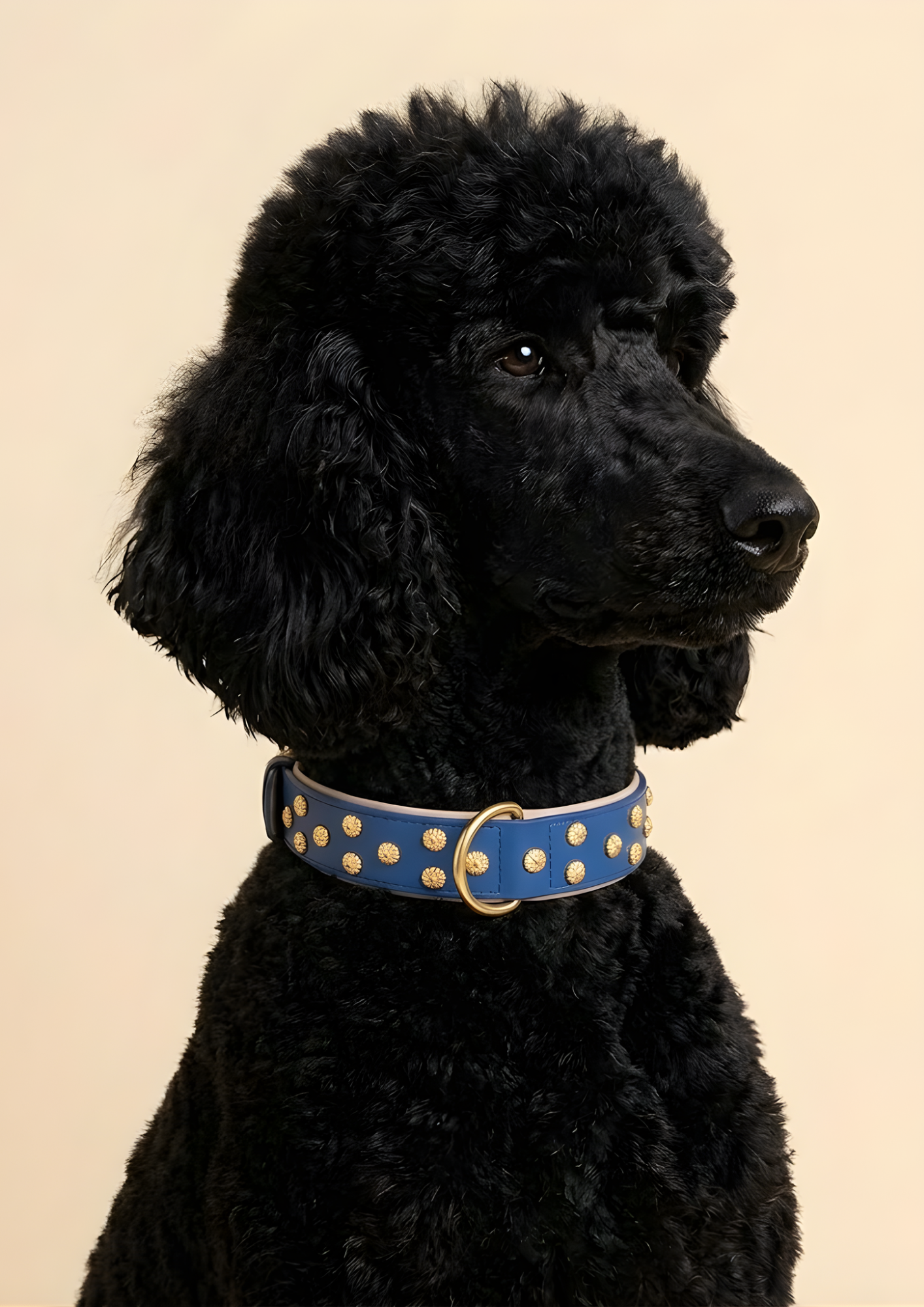URBAN no.03 - Hundehalsband mit Goldakzenten
