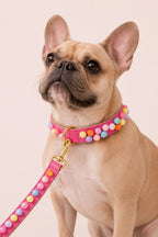 Set SIGNATURE no.02 (Halsband & Leine)