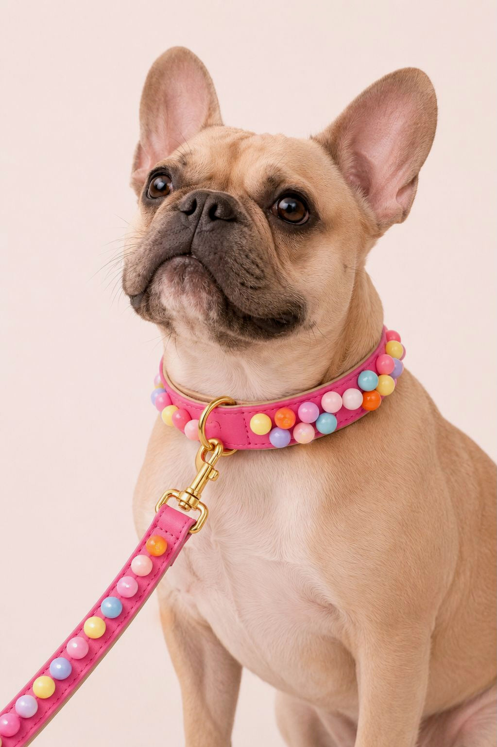Set SIGNATURE no.02 (Halsband & Leine)