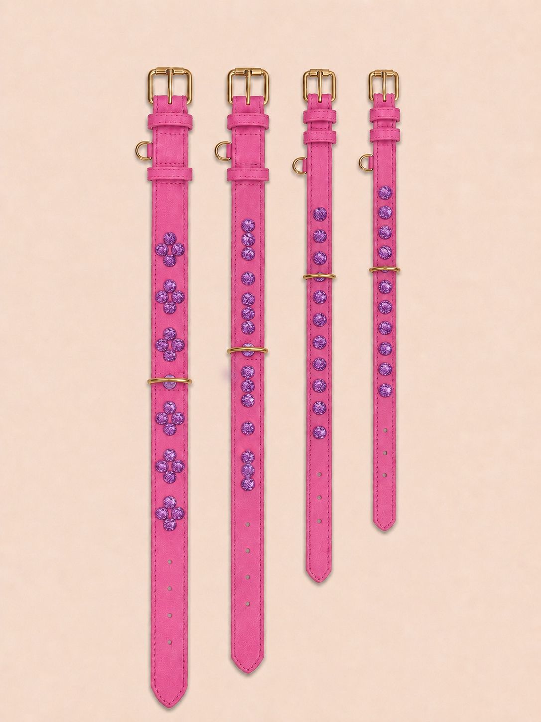 SIGNATURE no.03 - Hundehalsband mit Glanz